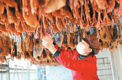 近日，廣西壯族自治區(qū)桂林市臨桂區(qū)會(huì)仙鎮(zhèn)舊村村民在趕制板鴨。李忠波攝（人民視覺）